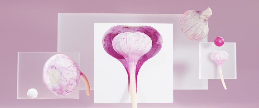 a picture of a purple flower with a white background