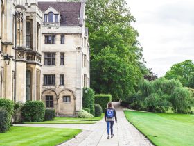 person walking on concrete road beside brown concrete house near green high trees under white sky during daytime