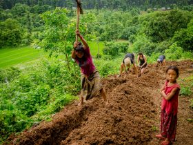 five people digging ground