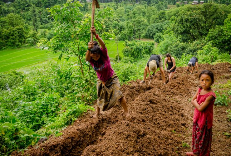 five people digging ground