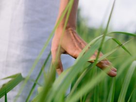 persons feet on green grass
